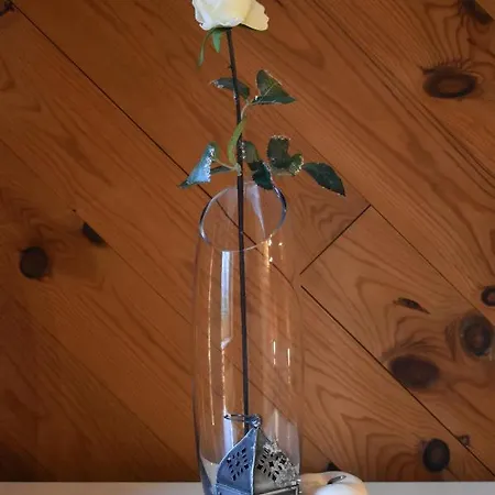 Du Cheval Blanc Sainte-Ode